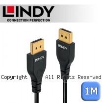 LINDY 林帝 SLIM DisplayPort 1.4版 公 to 公 傳輸線 1m (36461)