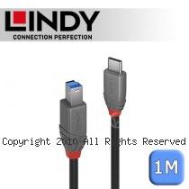 LINDY 林帝 ANTHRA USB3.2 Gen1 Type-C/公 to Type-B/公 傳輸線 1m (36666)