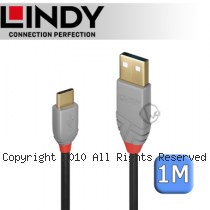 LINDY 林帝 ANTHRA USB 2.0 Type-C/公 to Type-A/公 傳輸線 1m (36886)