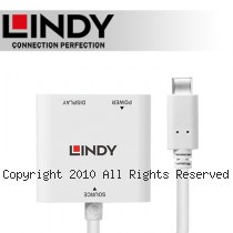 LINDY 林帝 主動式 USB3.1 Type-C to Displayport 轉接器 帶PD功能 (43289)
