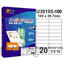 彩之舞 【U30105-100】 A4 3合1 20格(2x10) 標籤紙 100張