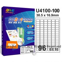 彩之舞 【U4100-100】 A4 3合1 96格(6x16) 標籤紙 100張