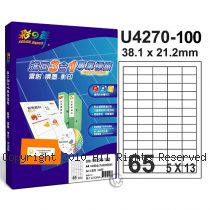 彩之舞 【U4270-100】 A4 3合1 65格(5x13) 標籤紙 100張