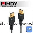 LINDY 林帝 SLIM DisplayPort 1.4版 公 to 公 傳輸線 1m (36461)