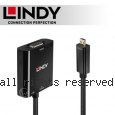 LINDY 林帝 主動式 Micro HDMI (Type-D) to VGA & 音源轉接器 (38287)