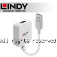 LINDY 林帝 HDMI 2.0 to DisplayPort 1.2版 4K@60Hz 轉接器 (38303)