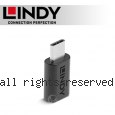 LINDY 林帝 USB3.2 Gen2X2 Type-C 公對母 轉接頭 (41893)