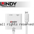 LINDY 林帝 主動式 USB3.1 Type-C to Displayport 轉接器 帶PD功能 (43289)