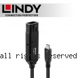 LINDY 林帝 主動式 USB3.2 Gen2 純DATA Type-C 延長線 5m (43405)