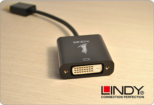 LINDY 林帝 主動式 DisplayPort 轉 DVI-D 轉接器 (41734)
03
