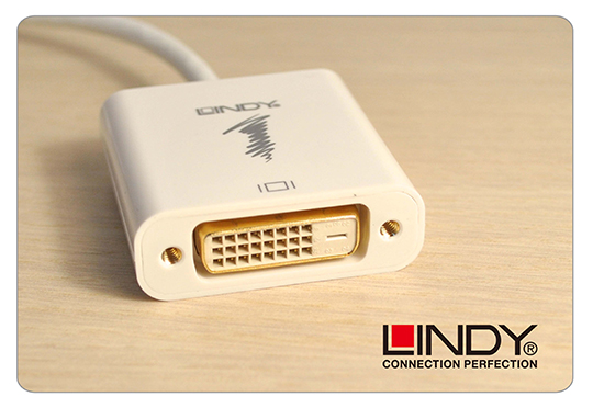 LINDY 林帝 主動式 mini DisplayPort 轉 DVI-D 轉接器 (41733)
03