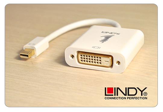 LINDY 林帝 主動式 mini DisplayPort 轉 DVI-D 轉接器 (41733)
04