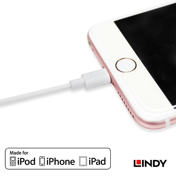 LINDY_林帝_Apple認證Lightning(8pin)轉USB傳輸線_02