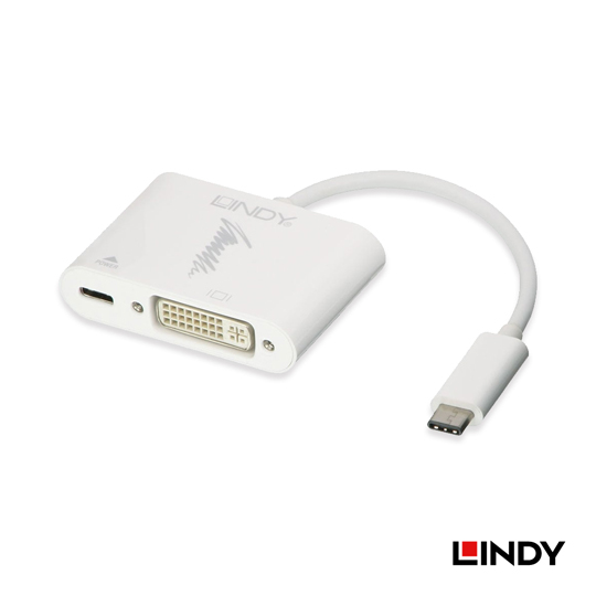 LINDY 林帝 主動式 USB3.1 Type-C to DVI轉接器帶PD功能(43195)
01