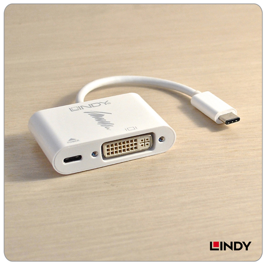 LINDY 林帝 主動式 USB3.1 Type-C to DVI轉接器帶PD功能(43195)
04
