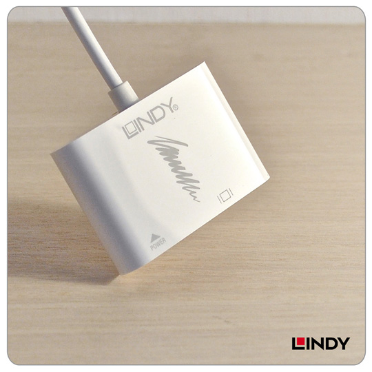 LINDY 林帝 主動式 USB3.1 Type-C to DVI轉接器帶PD功能(43195)
05