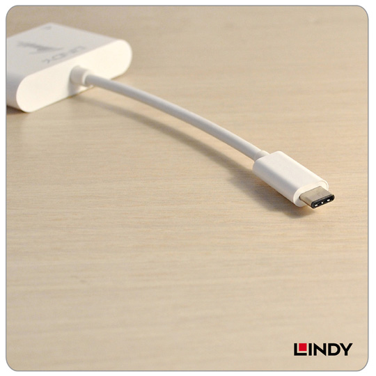 LINDY 林帝 主動式 USB3.1 Type-C to DVI轉接器帶PD功能(43195)
06