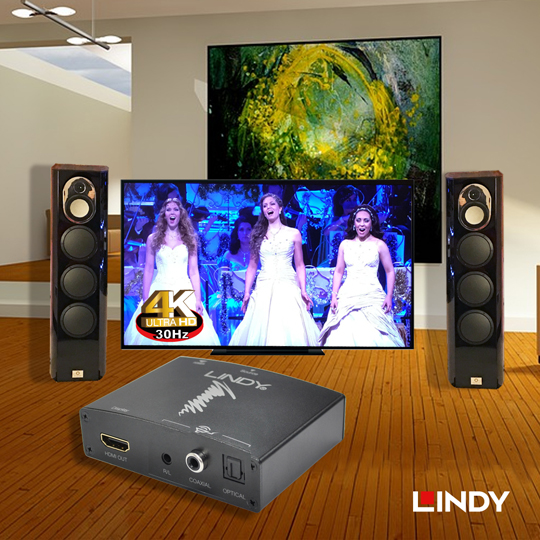 LINDY 林帝HDMI 4K影音分離轉換器(38167)
03